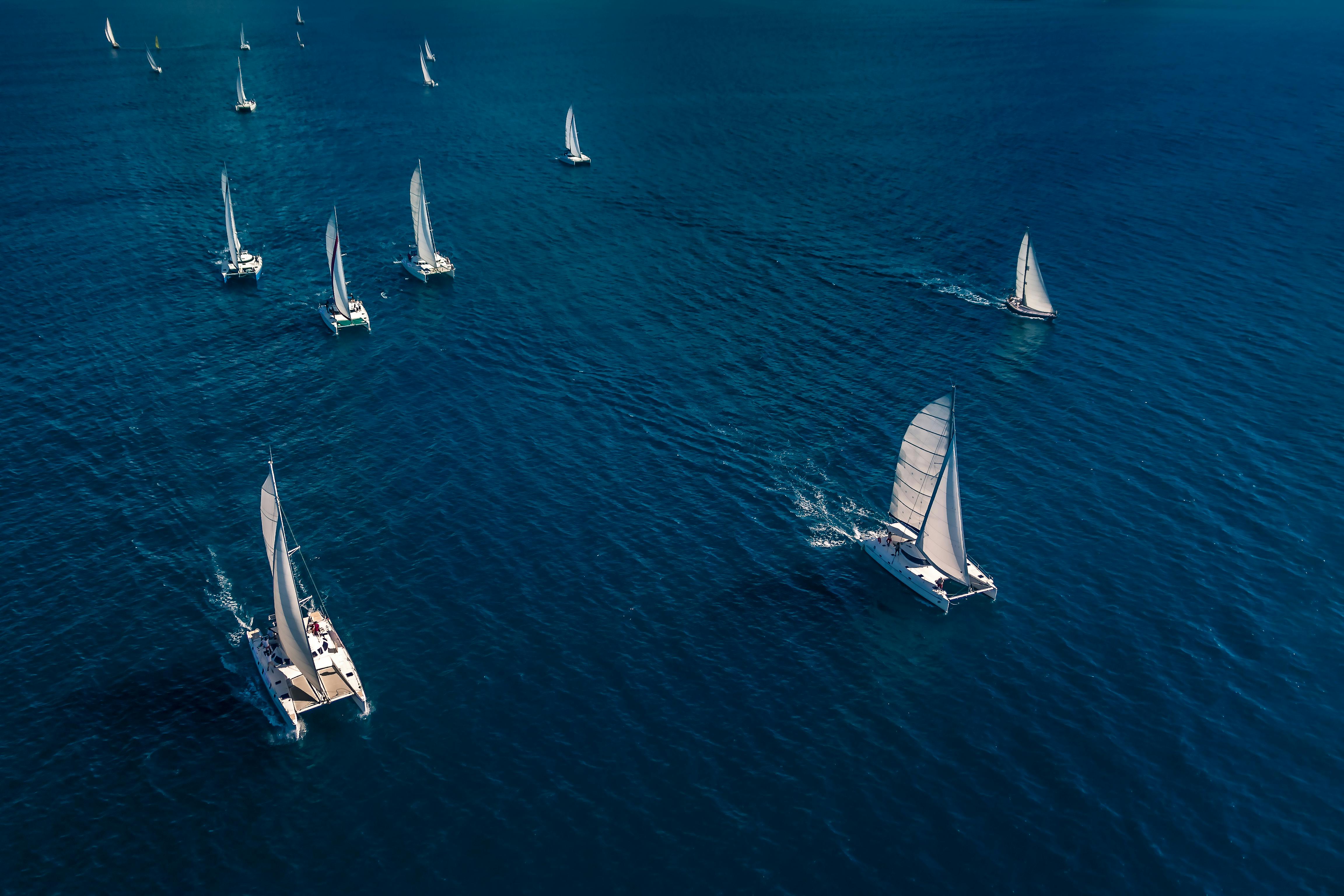 un catamaran est il un voilier