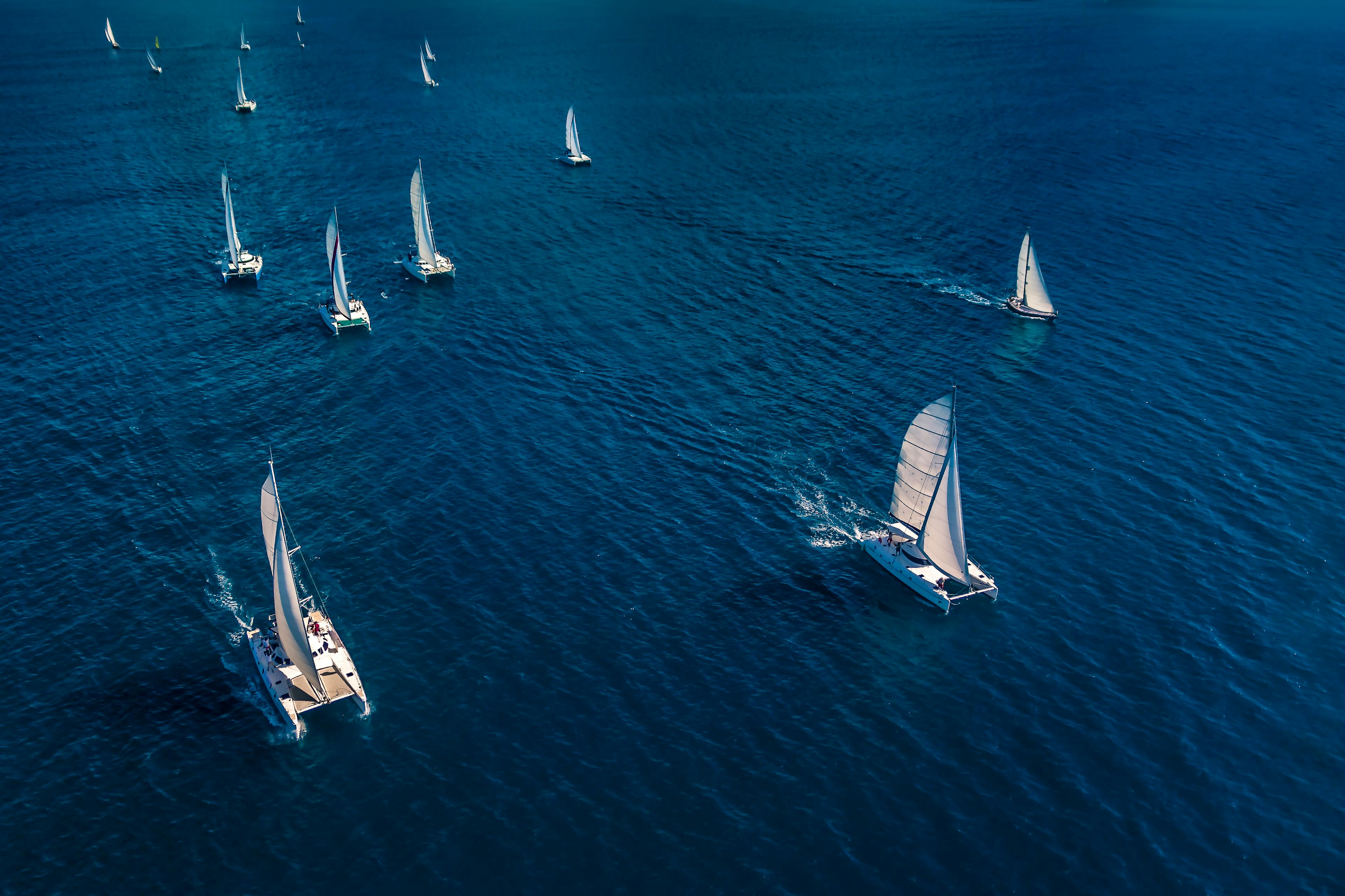 What's the difference between a catamaran and a sailboat?