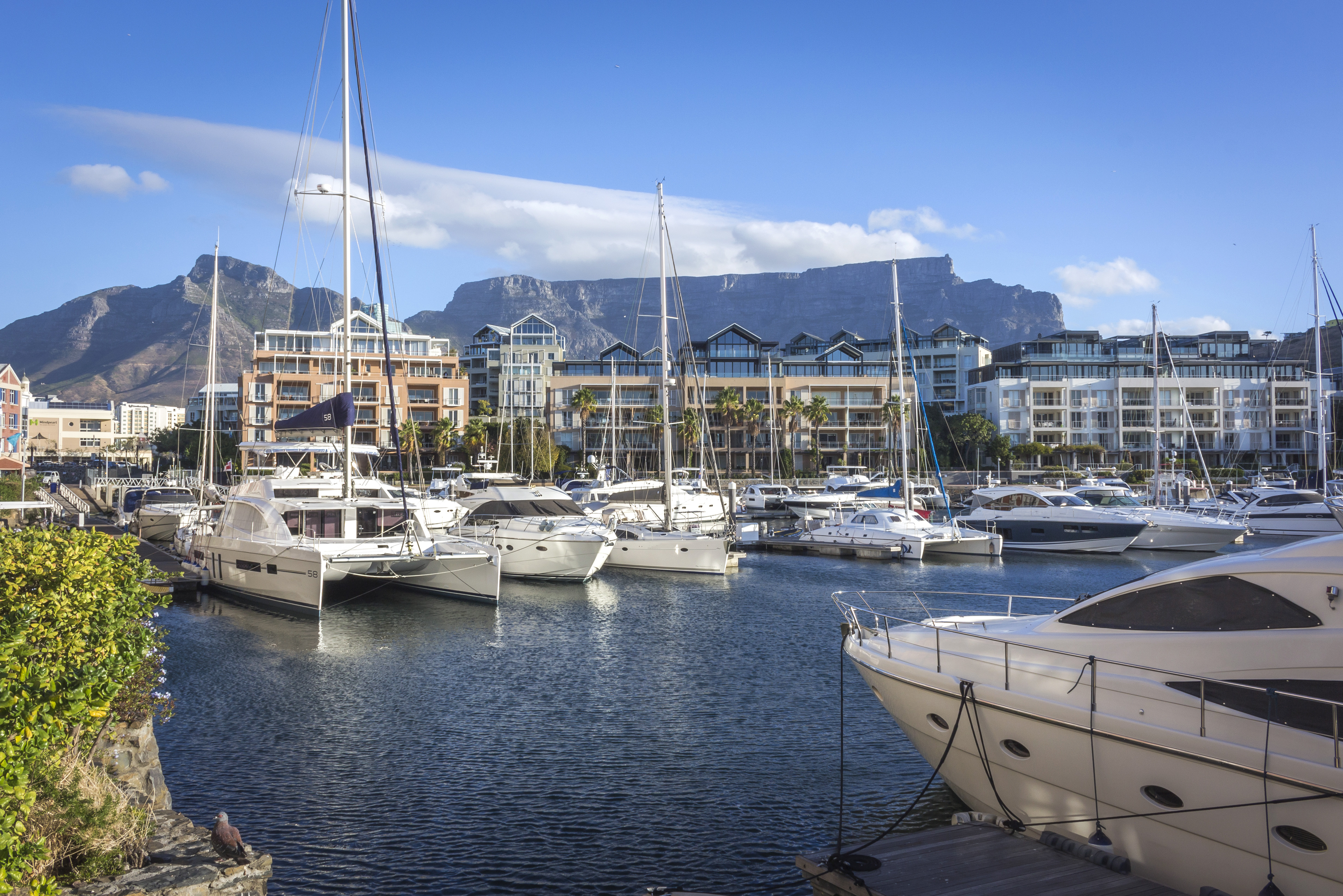 Cape Town Best Yacht Charter & Sailing Holidays 2024 Master Yachting